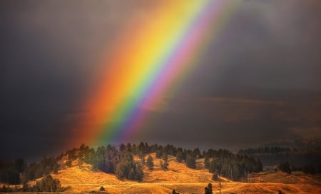 Afternoon Rainbow - rain, prairie, beautiful, hills, trees