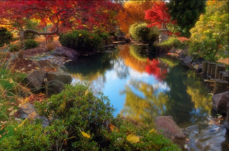 Fall Mirrors, Washington - red, pond, beautiful, trees, longview, blue, autumn, green