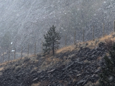 Snow storm in Montana - montana, rockies, snow, canyons