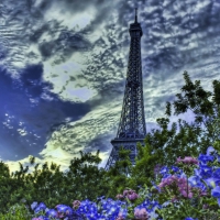 Paris in spring