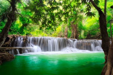 ♥Waterfall♥ - river, waterfall, summer, forest, emerald