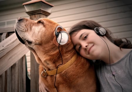 Music makes us feel so good - image, wallpaper, color, friends, new, best