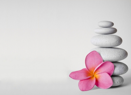 Plumeria - frangipan, pink, flowers, stones, plumeria, flower