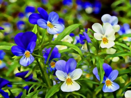 Painted flowers - freshness, fragrance, field, meadow, lovely, viola, nature, painting, art, pretty, beautiful, leaves, violets, painted, scent, flowers