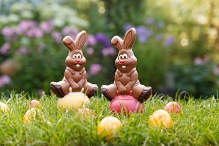 Easter Bunnies - eggs, Easter eggs, rabbits, Easter bunnies, chocolate, grass, Easter, Spring, bunnies