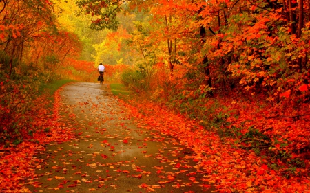 BEAUTIFUL DAY FOR A BIKE RIDE - BEAUTIFUL, COLORS, AUTUMN, ORANGE