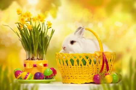 Easter - beauty, bokeh, eatser, easter, happy easter, basket, ribon, bunny, eggs, rabbit, pretty, yellow, easter eggs, holiday, egg, lovely, holidays, beautiful, sweet, flowers, photo