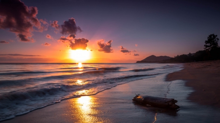 driftwood on a beah on an incredible sunset - beach, driftwood, sunset, sea, waves