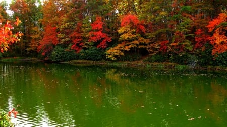 Autumn Lake Reflection - fall, trees, forest, red, beautiful, green, splendor