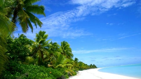 Aitutaki Beach, Cook Islands - sand, south pacific ocean, beautiful, palms, sea, paradisiac