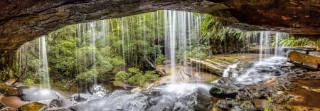 Behind Somersby Falls, Australia - gravity, trees, forest, beautiful, rock, new south wales, creek