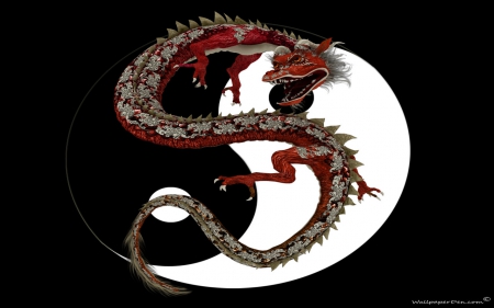 Chinese dragon - black, symbol, white, red