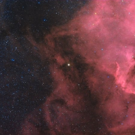 Cygnus nebula - big, shines, star, within