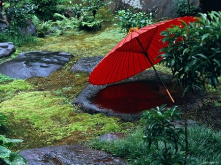 Wagasa - japan, umbrella, garden, red, rain, japanese