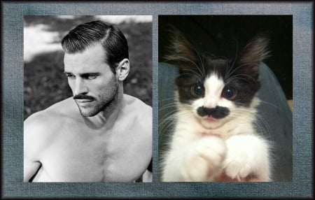 M & C - mustache, funny, by carmencitazapacita, man, cat