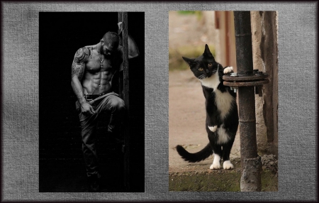 M & C - pole, funny, by carmencitazapacita, man, cat