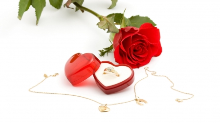 Romantic Love - ring, flowers, love, red