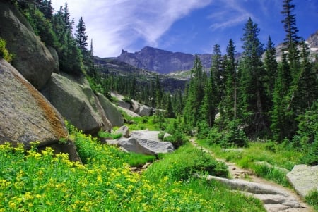 Mountainscape - freshness, trees, mountain, spring, rocks, mountainscape, beautiful, grass, wildflowers