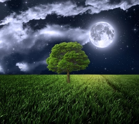 ♥Moonlight♥ - moon, full, grass, field, night, tree, sky