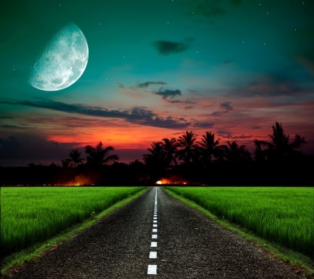 â™¥Sunset Roadâ™¥ - moon, sky, way, palms, tropical, sunset, road