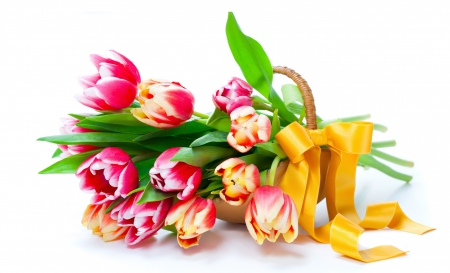 * Tulips for Jacqeline * - tulips, soft, ribbon, spring, lovely