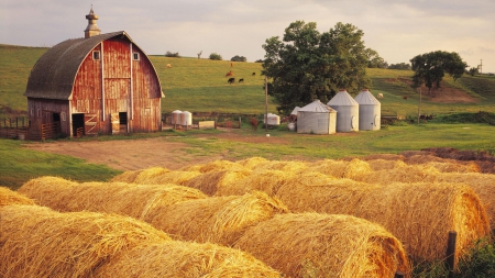 wonderful farm scene - silos, barn, farm, bales, cows