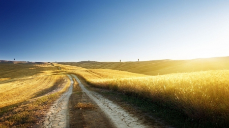 golden fields in tuscany - fields, sunshine, hay, hills, road