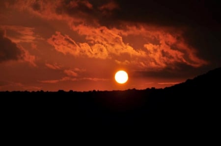 Beautiful Sunset - sky, trees, sun, photography, sunset, bulgaria, nature, clouds, red, photo