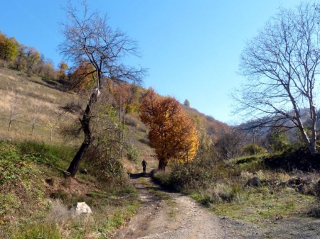 On the Road - fall, road, photo, bike, photography, trees, nature, mountain, autumn, bulgaria