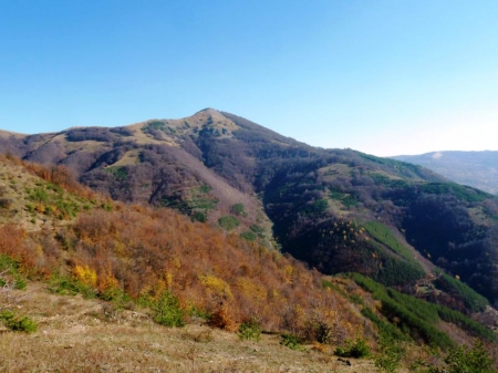 Mountain - fall, pretty, photo, sky, nice, photography, trees, nature, mountain, autumn, bulgaria