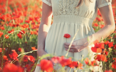 Flowers - red field, girl, summer, for you, flowers, poppies