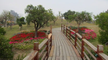 Park - park, tree, garden, flower