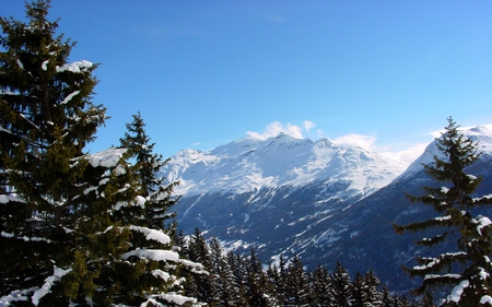 Alps in winter