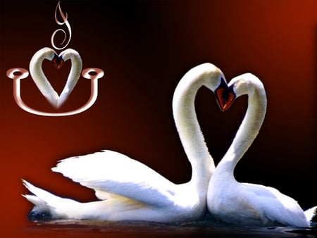 I LOVE YOU - u, swans, i, love, creative