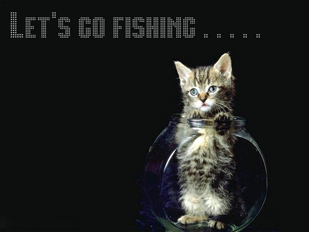 LET'S GO FISHING...