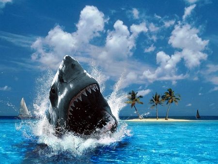 JAWS - ship, creative, palm trees, shark