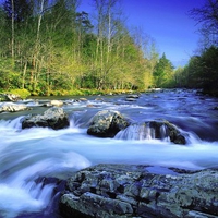 Little Pigeon River ~ Great Smoky Mountains