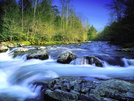 Little Pigeon River ~ Great Smoky Mountains - river, trees, water, nature, mountains