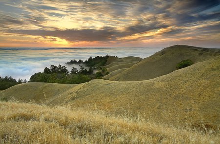 Northern California - nature, ocean, california, landscape, northern california, sunset, grass, sunrise