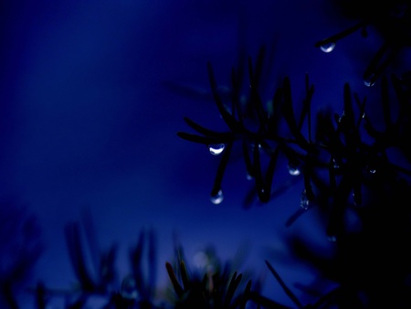 BLUE WATER DROPS - drops, water, blue