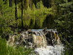 The beaver pond