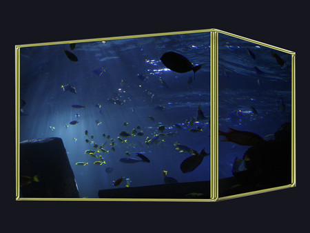 Aquarium - aquarium, 3d