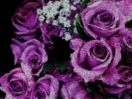 Purple roses - roses, 3d