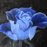 Blue Rose in Canvas