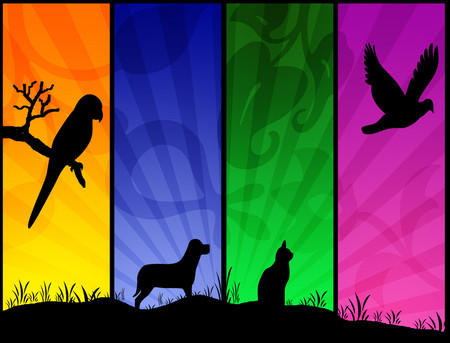 Animals - colors, animals