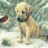 Puppy and bird