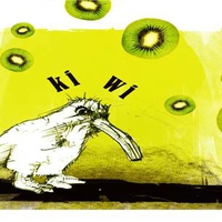 The Evil Kiwi Bird