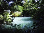 Garden Pond