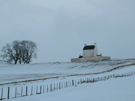 castle in the snow - hill, house, winter, snow, scotland, tree, castle