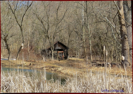 Back Country Pond - field, spring, country, wood, west virginia, nature, cattails, grass, pond, shed, barn